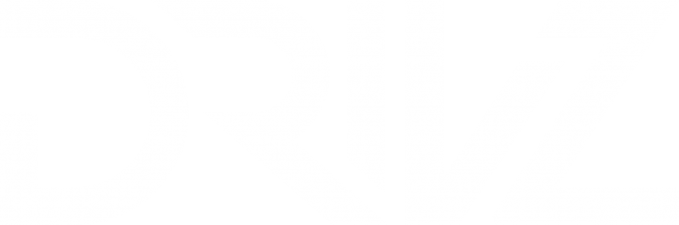 demo1.drivz.de